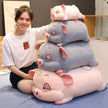 Pig Hamster Plush Pillow With Soft blanket Stuffed hand Warmer Stuffed Toys for Bedroom Cushion for Girlfriend KAEMEX