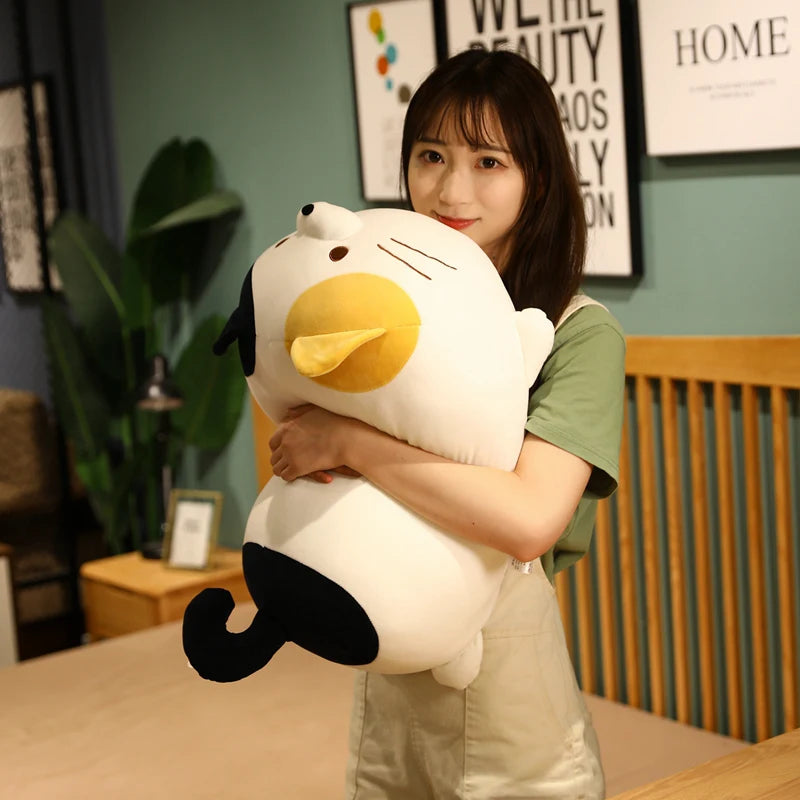 Soki the Rainbow Cat KAEMEX