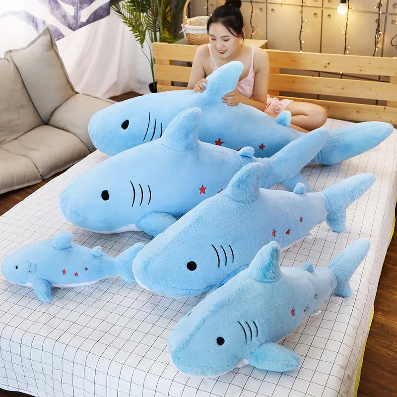 Moka the Cosy Shark KAEMEX