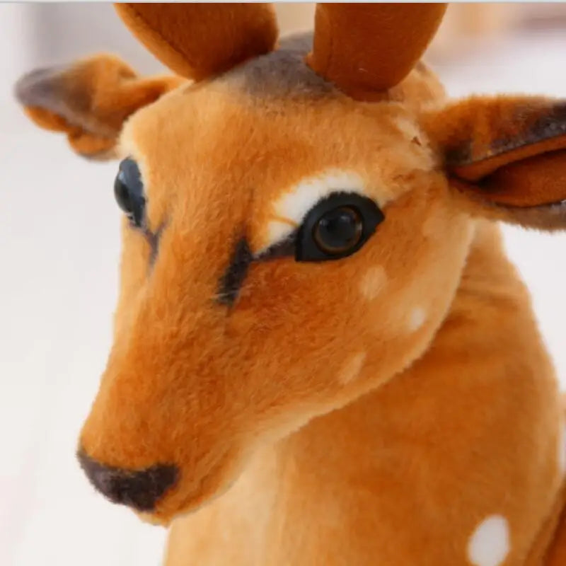 Riri the Deer KAEMEX