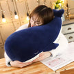 Neyu the Sleepy Whale KAEMEX