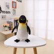 Maru the Dreamy Penguin KAEMEX