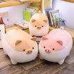 40/50cm Cute Shiba Inu Dog Cat Pig Plush Toy Stuffed Soft Kawaii Animal Pillow Lovely Gift KAEMEX