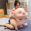 Pig Hamster Plush Pillow With Soft blanket Stuffed hand Warmer Stuffed Toys for Bedroom Cushion for Girlfriend KAEMEX
