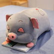 Pig Hamster Plush Pillow With Soft blanket Stuffed hand Warmer Stuffed Toys for Bedroom Cushion for Girlfriend KAEMEX