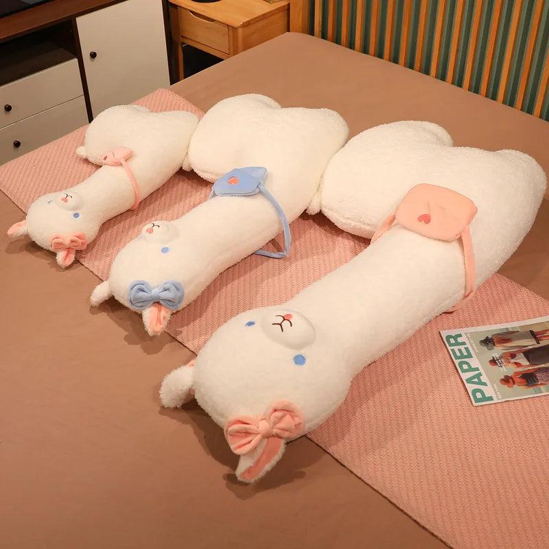 Kapi the Llama KAEMEX