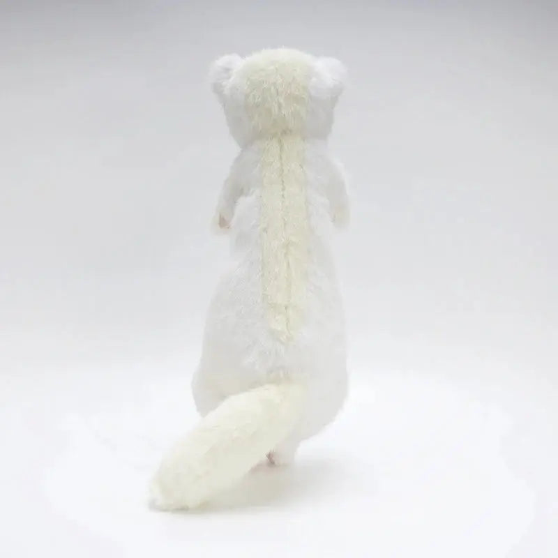 Kiku the Ferret KAEMEX