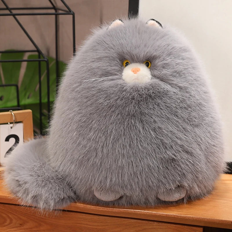 Kiri the Gentle Cat KAEMEX