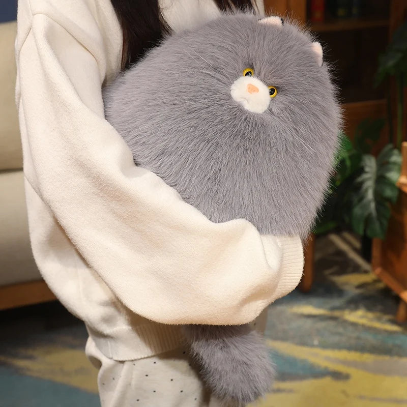 Kiri the Gentle Cat KAEMEX