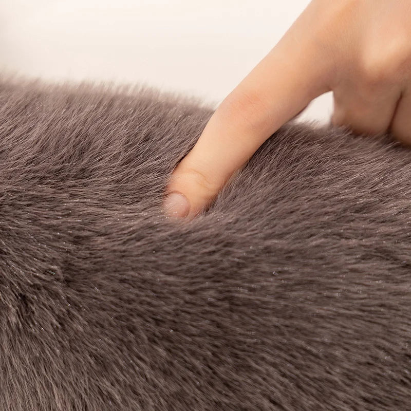 Pachi the Plush Friend KAEMEX