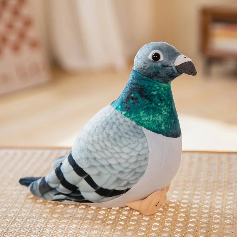 Pudding the Pigeon KAEMEX