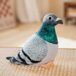 Pudding the Pigeon KAEMEX