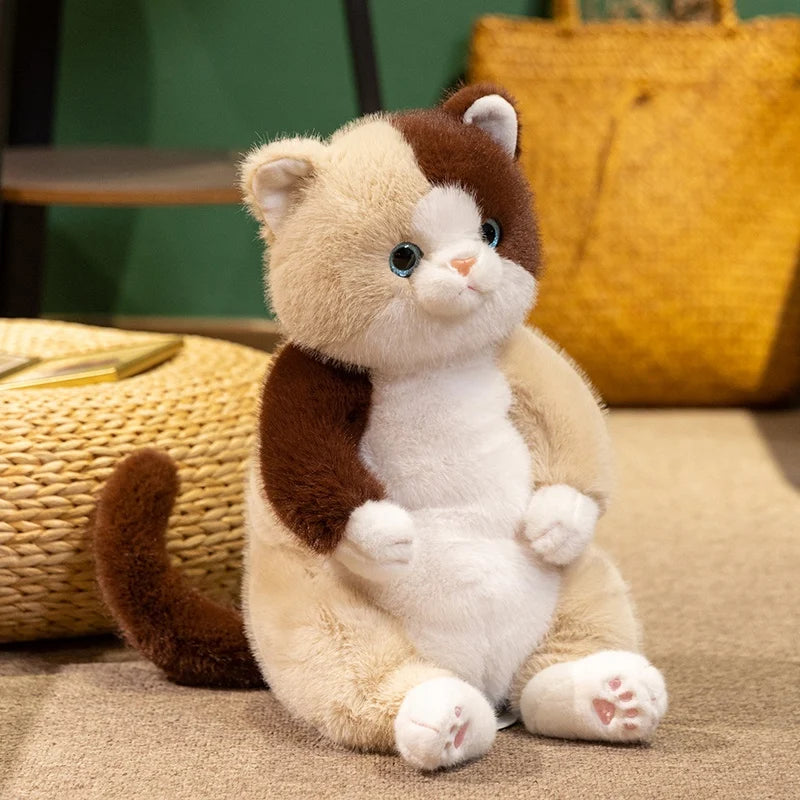 Mino the Gentle Cat KAEMEX