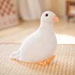 Pudding the Pigeon KAEMEX