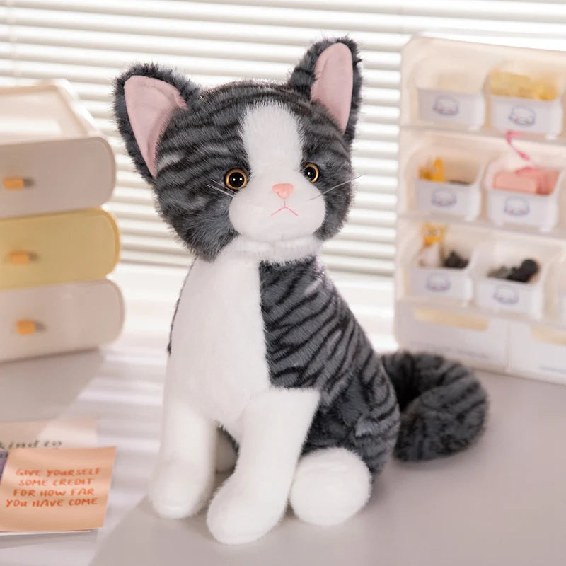 Bapu the Cosy Cat KAEMEX