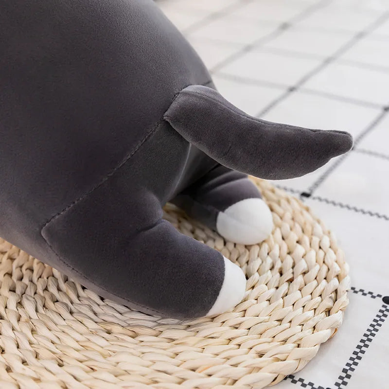 Momo the Sleepy Dog KAEMEX