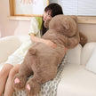 Yasu the Cosy Bear KAEMEX