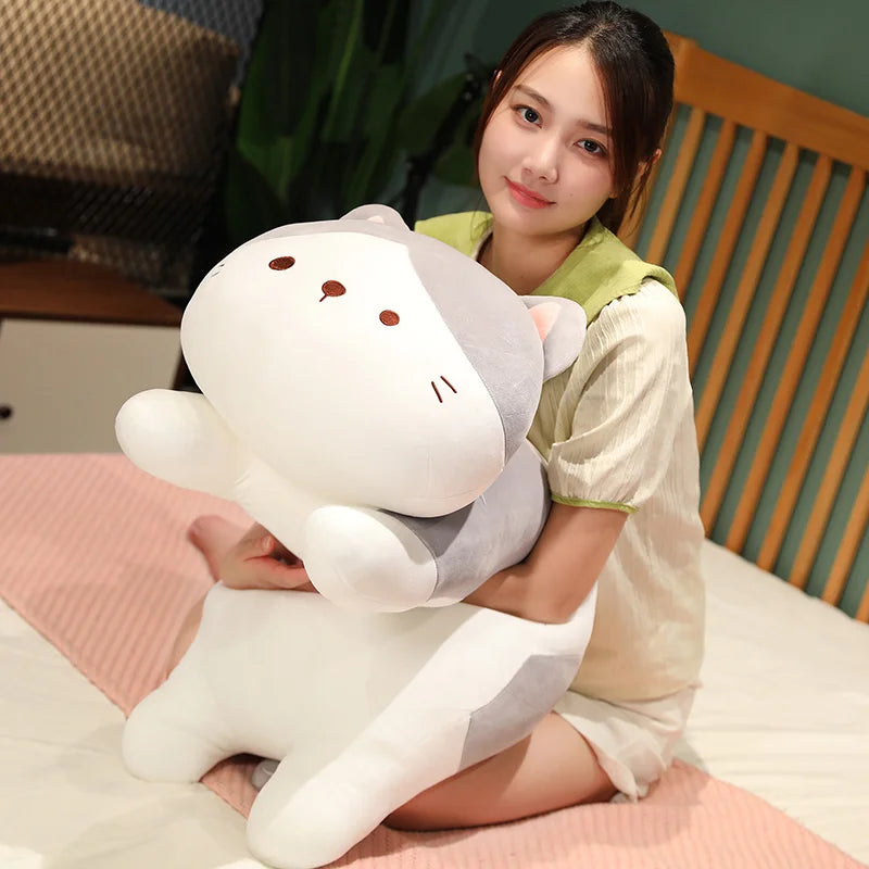 Maru the Sleepy Cat KAEMEX