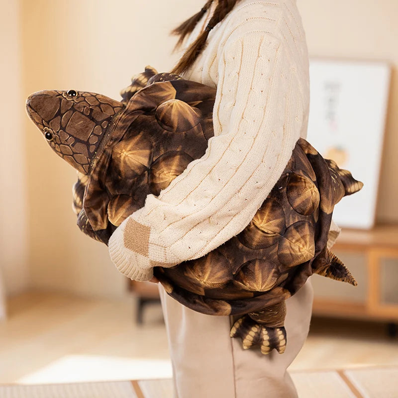 Bibi the Tortoise KAEMEX