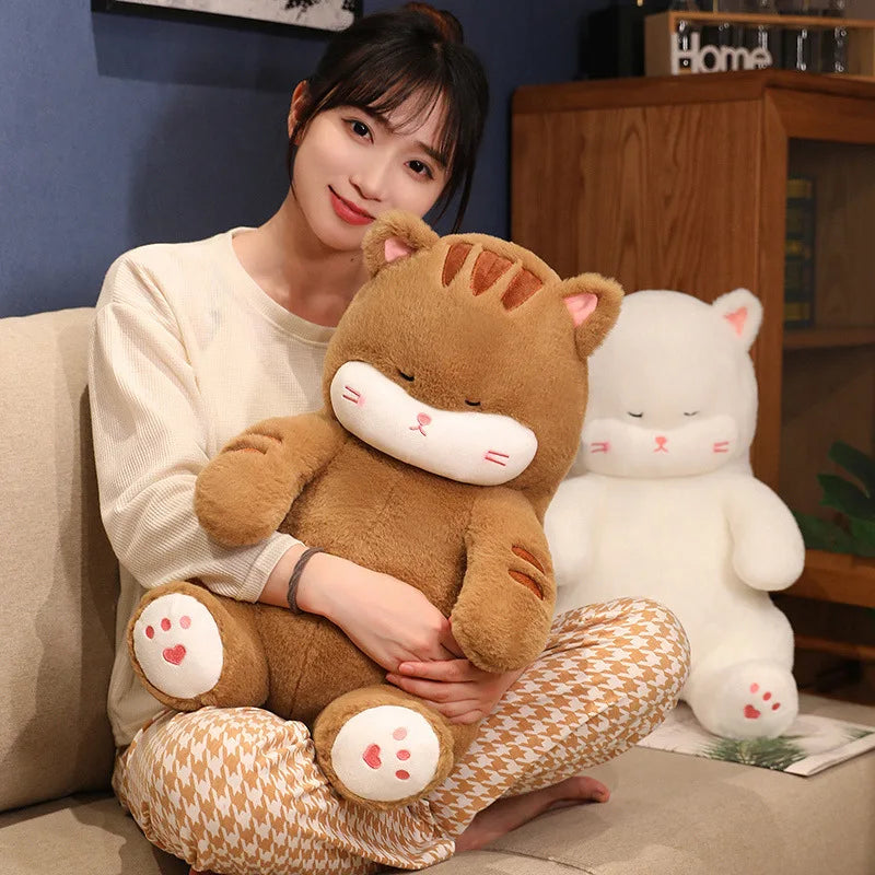 Hoshi the Gentle Cat KAEMEX