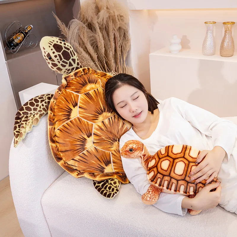 Kopi the Tortoise KAEMEX