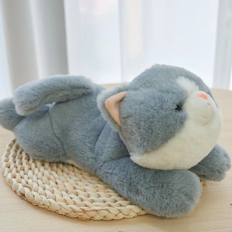 Yuna the Snuggly Capybara KAEMEX