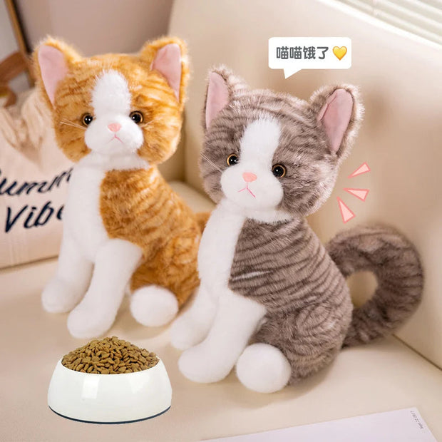 Bapu the Cosy Cat KAEMEX