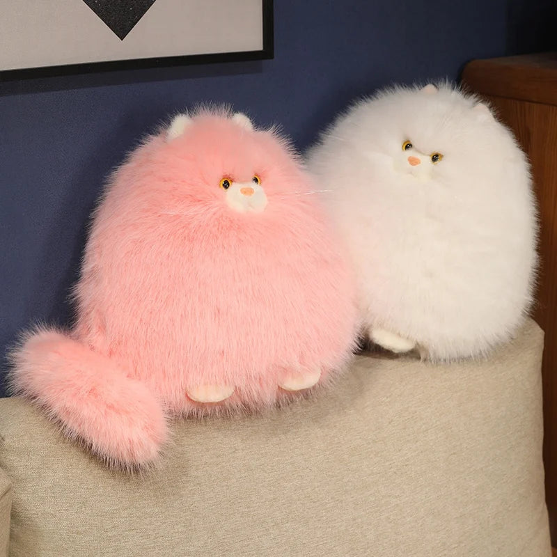 Kiri the Gentle Cat KAEMEX