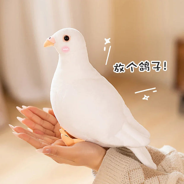 Pudding the Pigeon KAEMEX