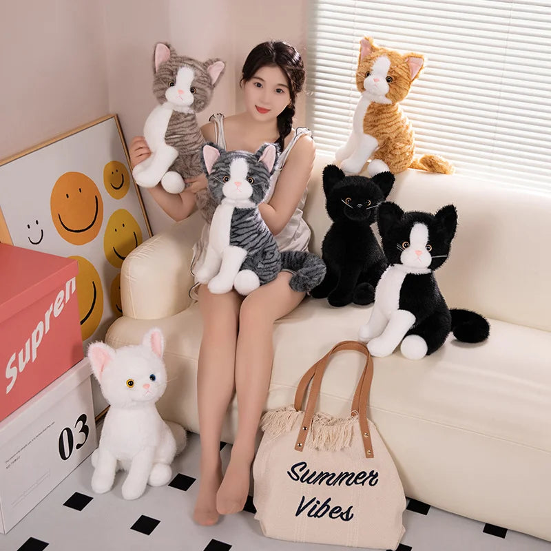 Bapu the Cosy Cat KAEMEX