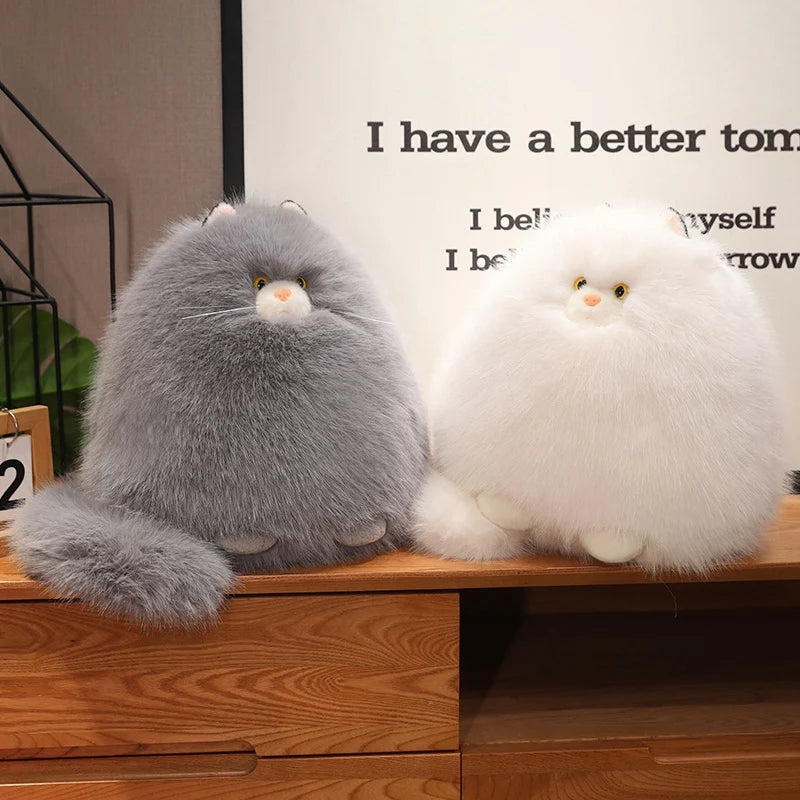 Kiri the Gentle Cat KAEMEX