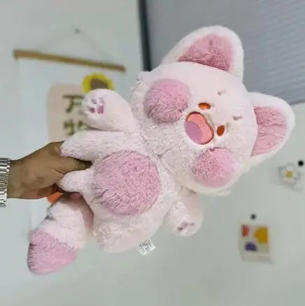 Nori the Gentle Cat KAEMEX