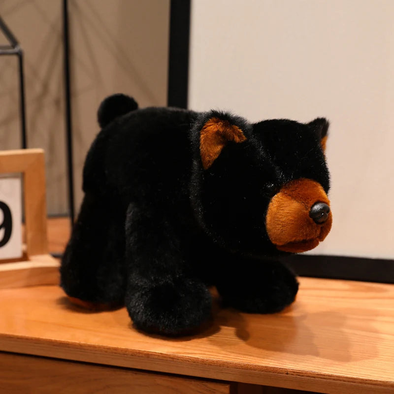 Maru the Playful Bear KAEMEX