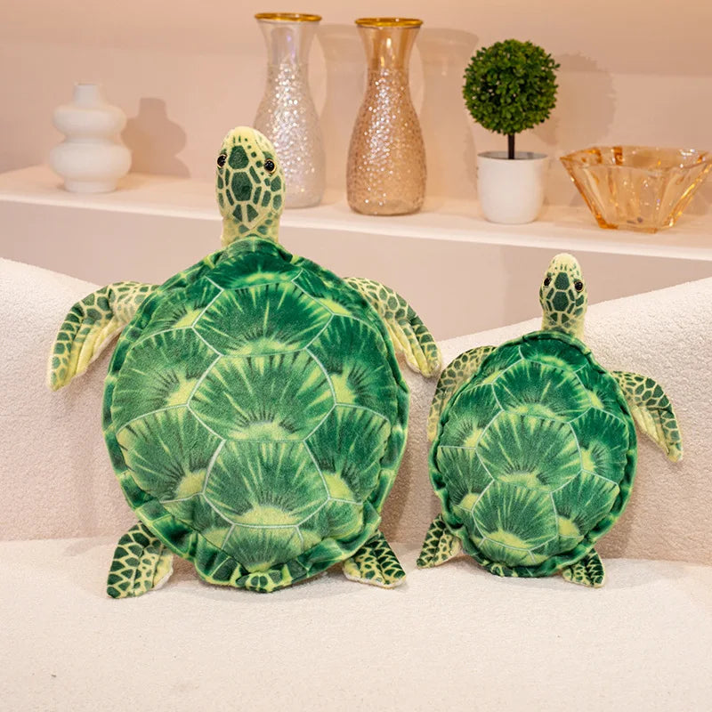 Kopi the Tortoise KAEMEX