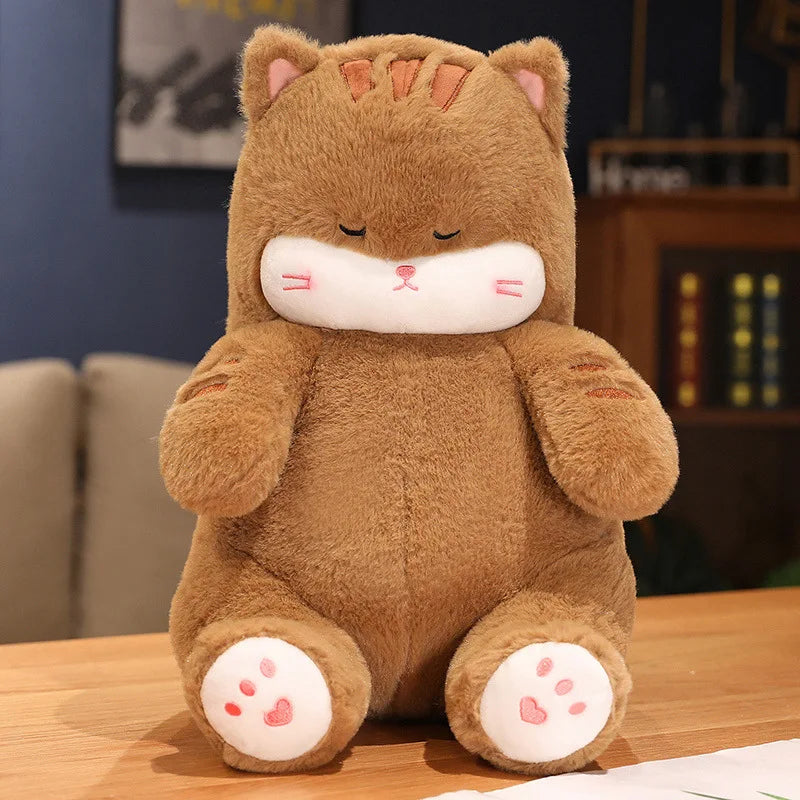 Hoshi the Gentle Cat KAEMEX