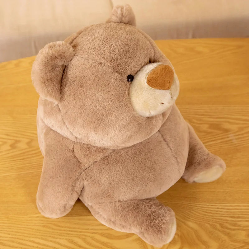 Pachi the Dreamy Bear KAEMEX