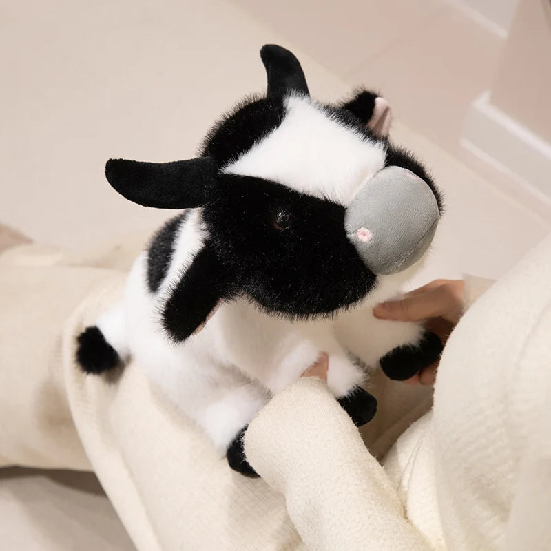 Neko the Snuggly Cow KAEMEX