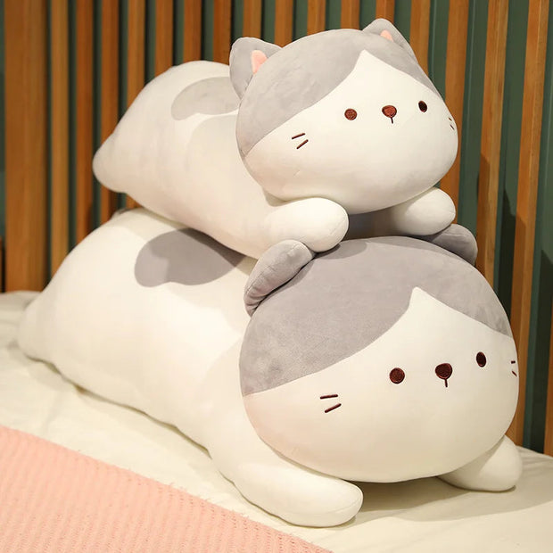 Maru the Sleepy Cat KAEMEX