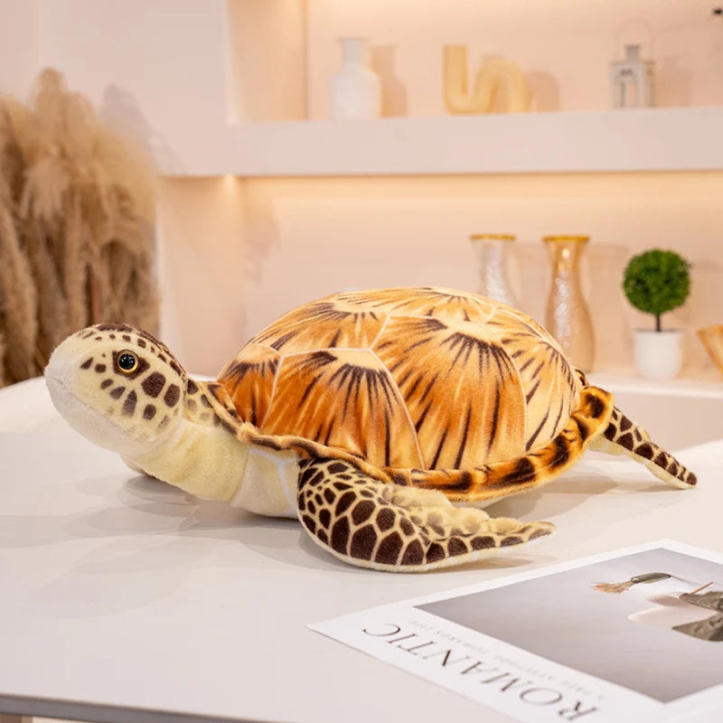 Kopi the Tortoise KAEMEX