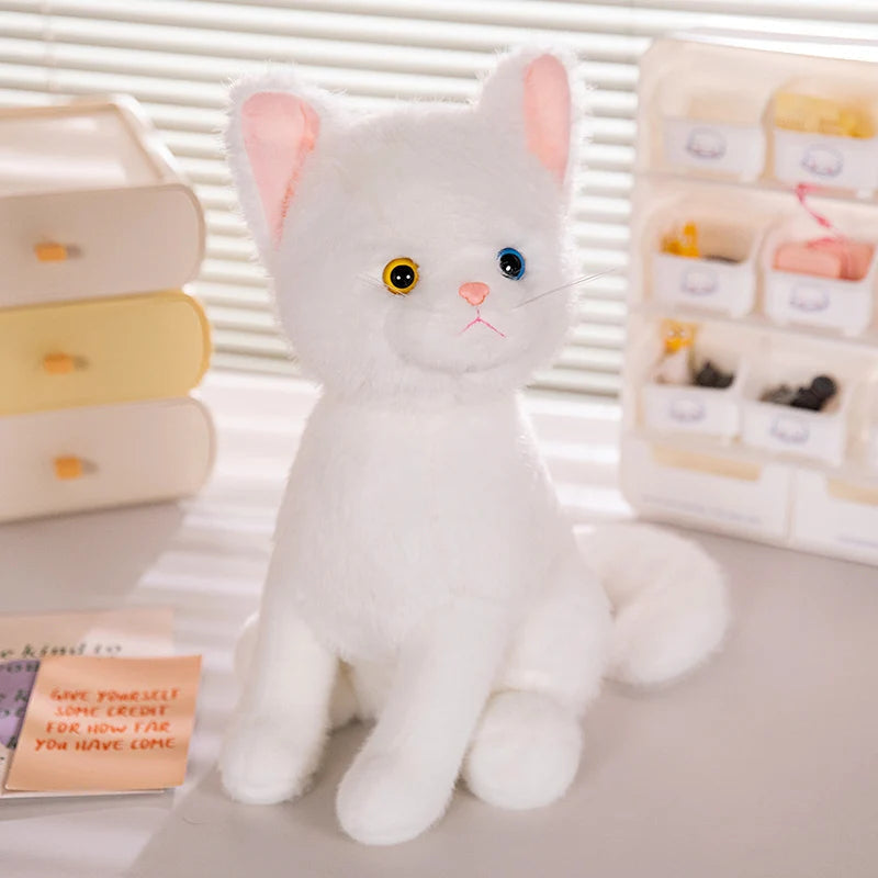 Bapu the Cosy Cat KAEMEX